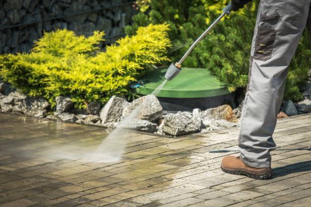 Best Animal Enclosure Cleaning  in Atlantic Beach, NY